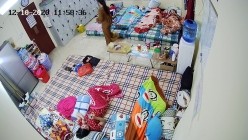 预览图4