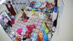 预览图7