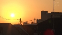 预览图16