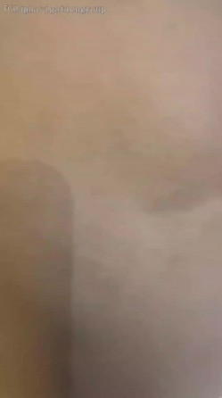 预览图14