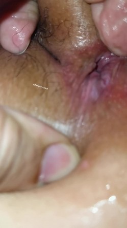 预览图4