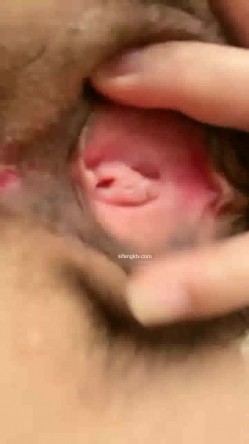 预览图16