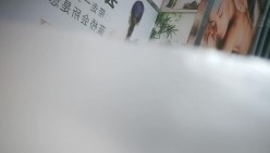预览图15