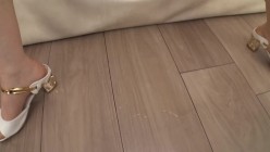 预览图4