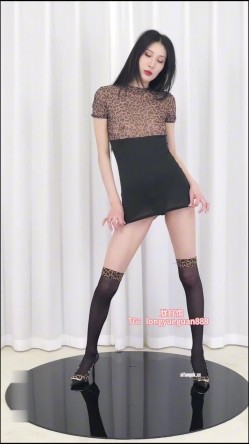 预览图4
