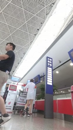 预览图4