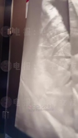 预览图8