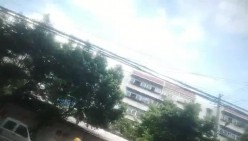 预览图7
