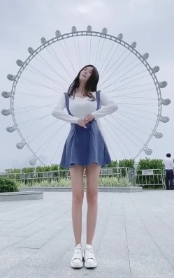 预览图2
