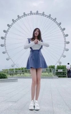 预览图4