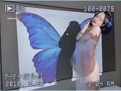 预览图6