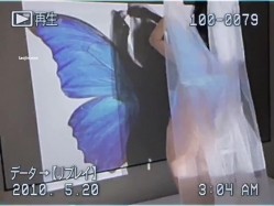 预览图8