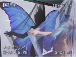 预览图10