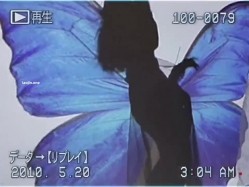 预览图14