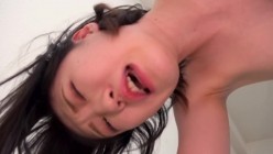 预览图8