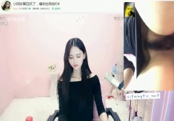 预览图4