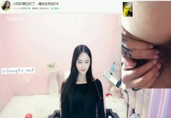 预览图6