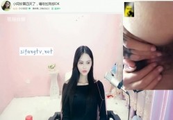 预览图8