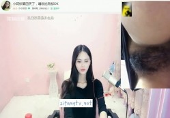 预览图9