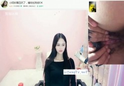 预览图15