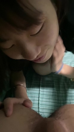 预览图4