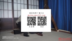 预览图13
