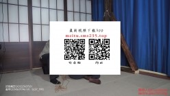 预览图14