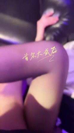 预览图12