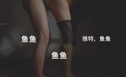 预览图5