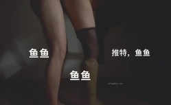预览图6