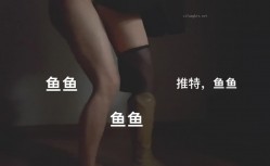 预览图11