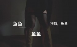 预览图12