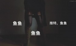 预览图13