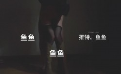 预览图16
