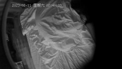 预览图7
