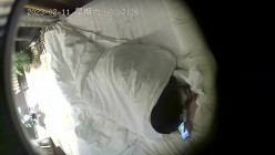 预览图14