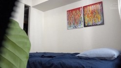 预览图5