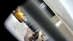 预览图13