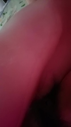 预览图8