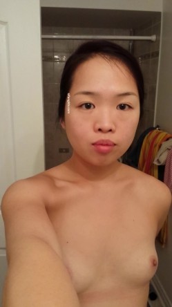 预览图4