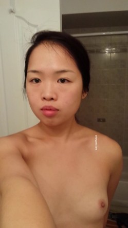 预览图8