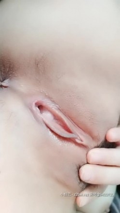 预览图15