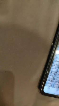 预览图8