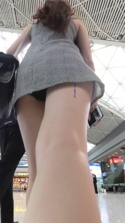 预览图4