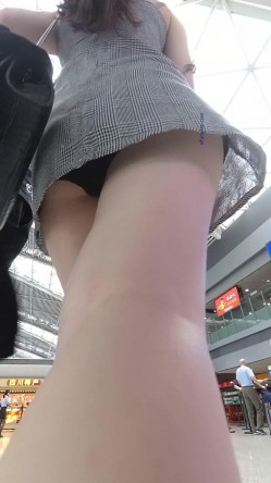 预览图5