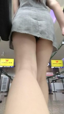 预览图8