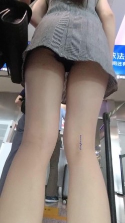 预览图9