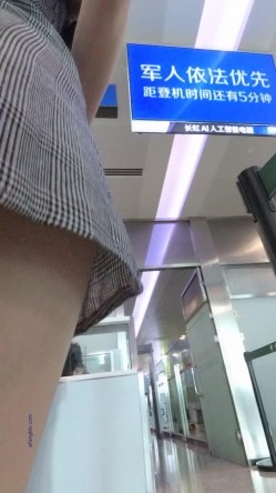 预览图14