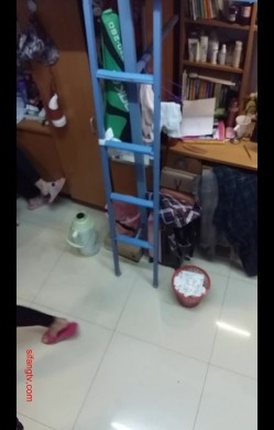 预览图7
