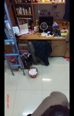 预览图10